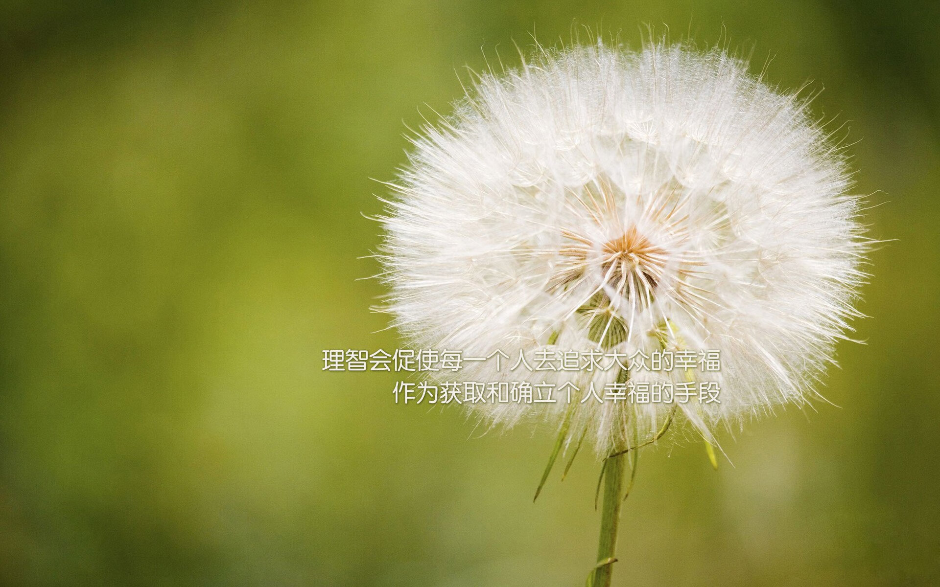 “精品助攻：让人叹为观止的精彩传球”，足球精彩传球