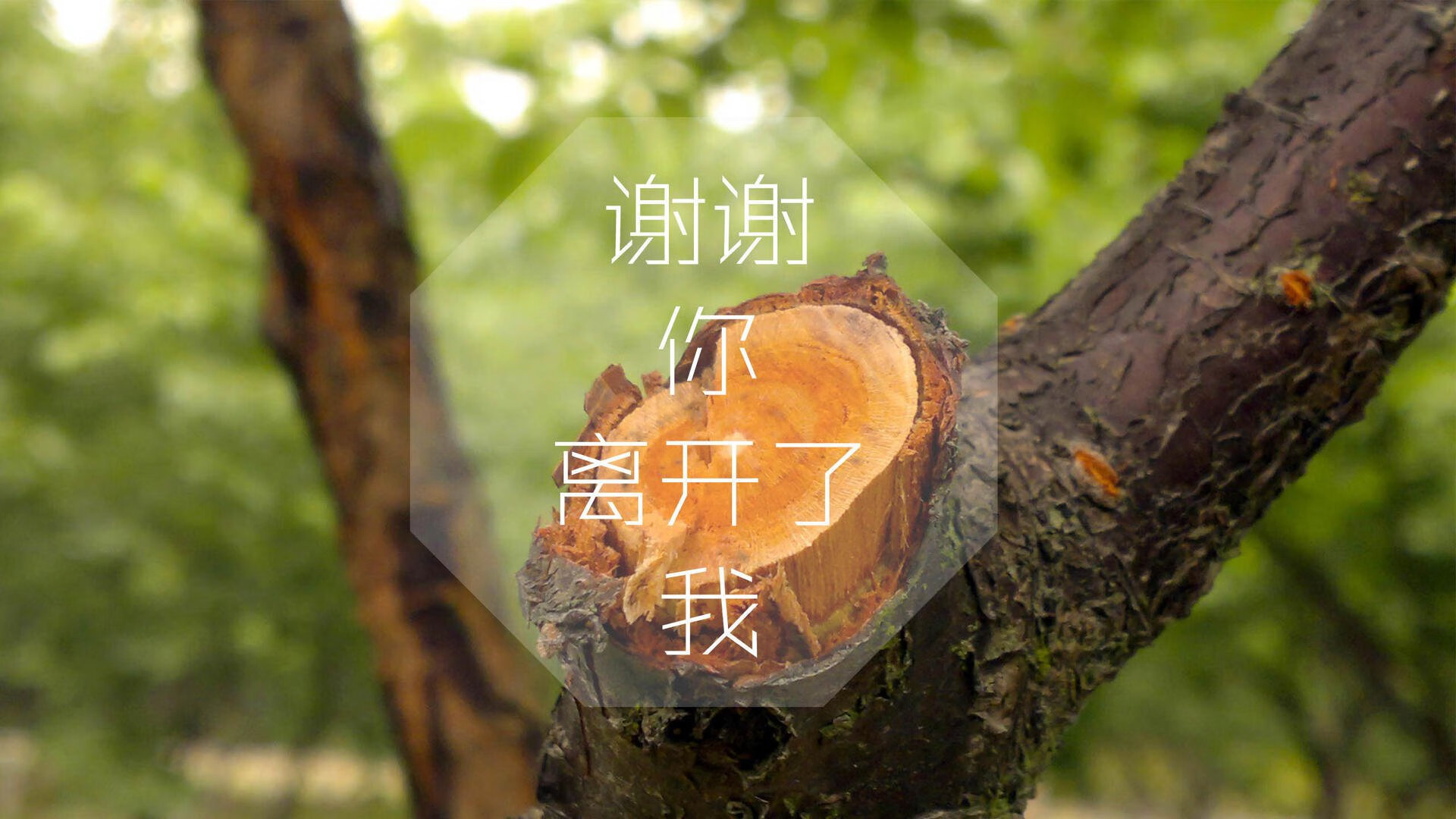 巴黎再签一名超级中场，梦想再升级，曝巴黎正酝酿超级转会