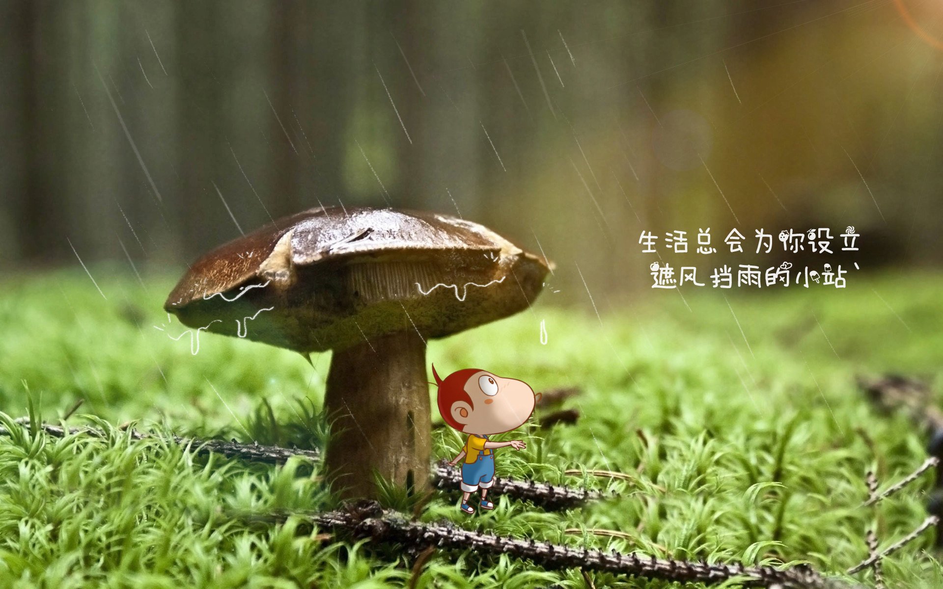 开云体育APP下载-球场技巧：从新手到高手的成长指南，怎么球场